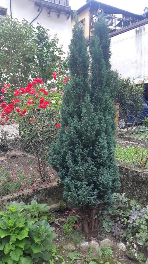 Willa Casa Mascia Cencenighe Zewnętrze zdjęcie