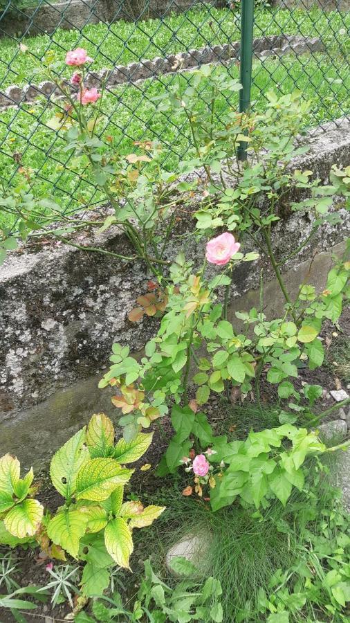 Willa Casa Mascia Cencenighe Zewnętrze zdjęcie